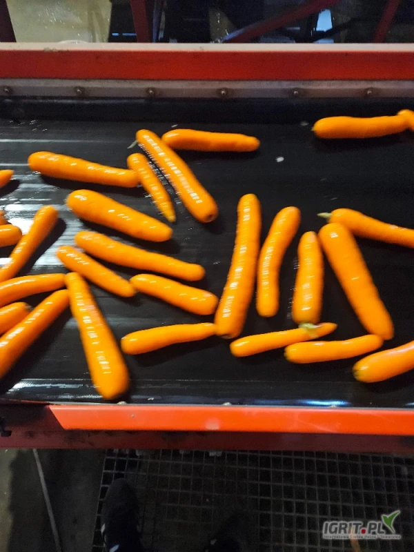 /images/posts/2025/05/2011051/0zrIboHxbxCEQJta8TqXiXmYEXo6CPl35k0U4IrT.jpeg