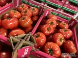 Producent posiada w sprzedaży Polskiego ładnego i smacznego pomidora malinowego odmiany Hakumaru.
