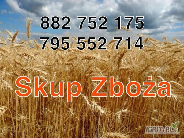 /images/posts/2025/06/2022432/05AQ94NE9KrSZ8ZVin8Y5Bgqv9GZJwc3F1ruEAlz.jpeg