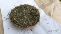dla konii
