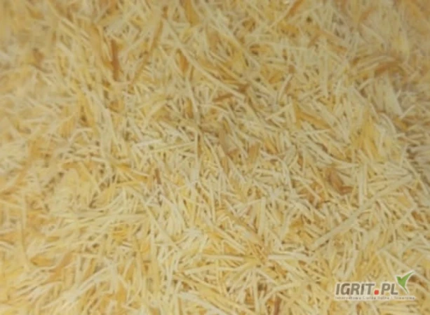 /images/posts/2025/05/2011138/NOCrENdVQUImxWvn67XWyjy9eKxVYPVmLgH5hQIb.jpeg