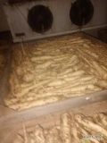 Witam sprzedam 5ton pietruszki cena do uzgodnienia nadająca się do mycia 