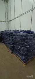 Sprzedam kapustę czerwona worek 10 kg ,kal. 0.6-2.5 kg