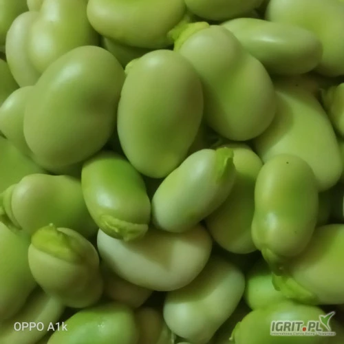 /images/posts/2025/03/1986454/5NEyVash8H8B0aQo4Otod1hQeu01g6Zu6YjKjGt2.jpeg
