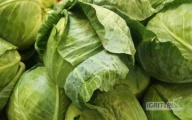 spzedam mlody kapusty 0.80cent MAKEDONIA
