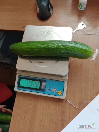 /images/posts/2025/03/1985586/in740sqnAFfVIXvM6GqoJFKBaNub645Ff9RfhLof.jpeg
