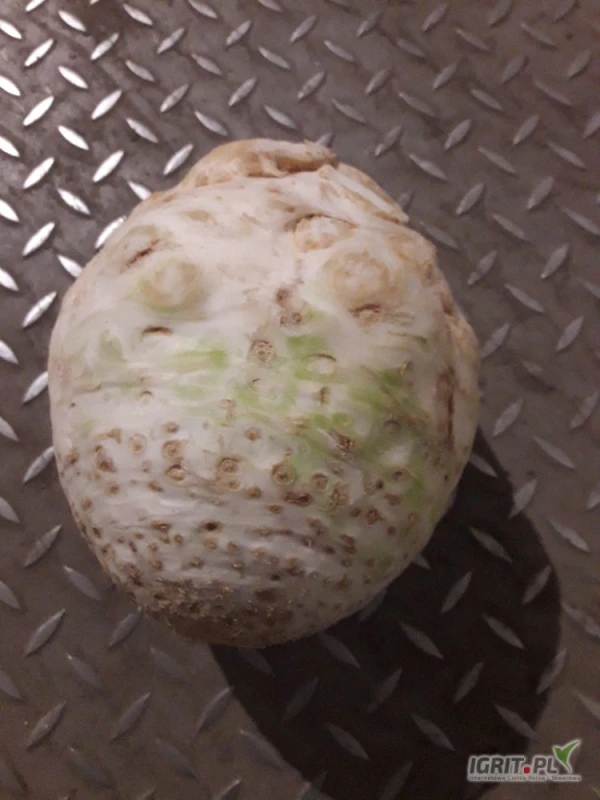 /images/posts/2025/05/2009671/FkXFYCMXydFnrPdCxsVxqFg49JgD1RFMR9eX9S1H.jpeg