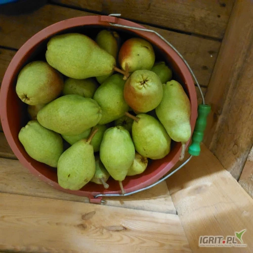 /images/posts/2024/08/1890751/Tm6Ok86QatY6aQigmb7SxvKTwJADqF1m0oEITNpz.jpeg