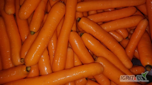 /images/posts/2025/02/1970491/clxkB4k5AQlFuxd3IJLcwjSFb6mHnzHuag4spWeU.jpeg