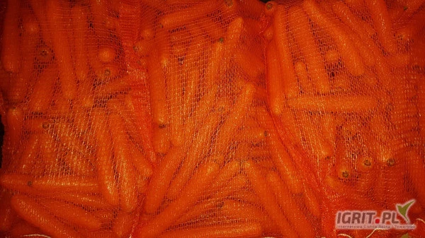 /images/posts/2025/02/1970491/3tNeZQA3IfOQvuwZNkcNCsyDzuErvfqCs4fueY8D.jpeg