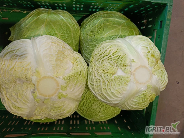 /images/posts/2025/01/1957451/llpnDLKIMc966BC6cU0tfx8nFQUK2XFPkTHdd2kq.jpeg
