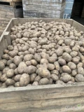 Sprzedam ziemniaka Soraya, kaliber +5, luzem w skrzyniach, bb lub worek 15 kg, ilości tirowe, cena do uzgodnienia, zainteresowanych...