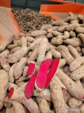 Sprzedam buraczki 600t. okrągłe/podłużne worek 10kg lub bigbag kal: 40-60, 60-100, podłużny 40-60,50-70, 7+, myty lub brudny po...