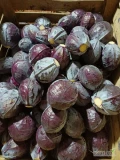 Sprzedam Kapustę Czerwoną 1-4kg