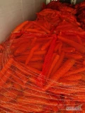 Marchew  10 kg w worku 2-4 kaliber 
