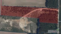 [12,58 ha] przetarg nieograniczony na 5-letnią dzierżawę gruntów rolnych [powiat mławski, woj. mazowieckie]  użytek...
