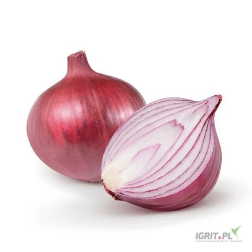 /images/posts/2024/08/1901000/7U6zagFU5P1GftxdceuT8UehJvRFbyqUBLRUF98e.jpeg