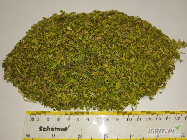 /images/posts/2024/08/1894195/7TRCzlYwtI0WDzFeRACmpq2xfdDAjDKKJtBdc7iP.jpeg