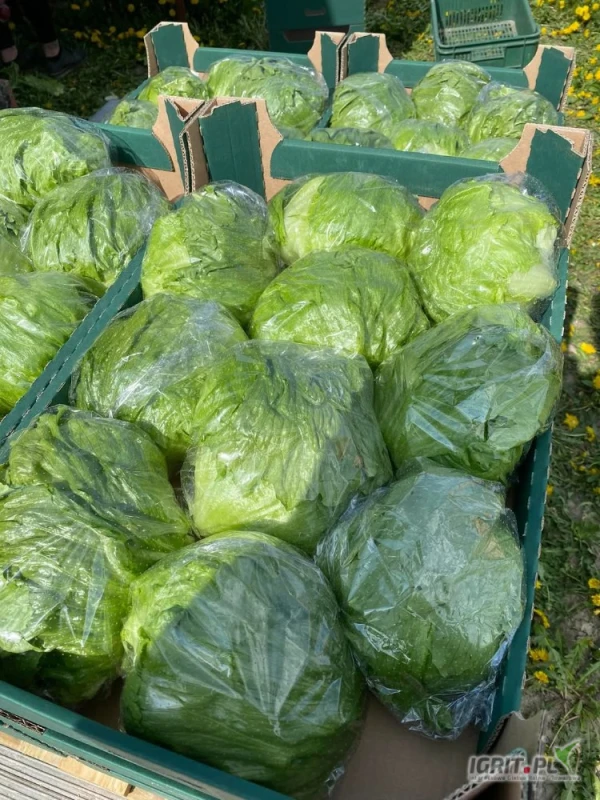 /images/posts/2025/05/2009940/2p1FRne1PC0H3pKxd0APIBmlZxRH6RwJUBztso5W.jpeg