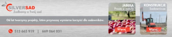 Firma SILVERSAD  kupi w skrzyniach jabłka do sortu lub za wagę odmian:
