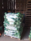 Sprzedam kapustę białą 1-4kg, kapustę czerwona 1-3kg ilości paletowe.