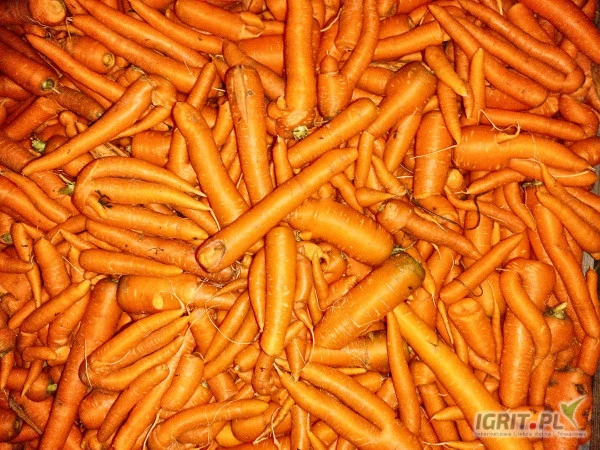 /images/posts/2024/07/1881957/0XBQqAqof6icjkSo81TPslzi1T9Lt1sBnVBCM0HW.jpeg