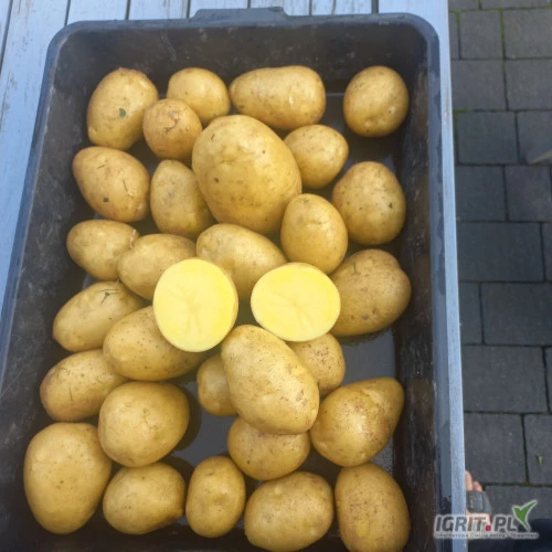 /images/posts/2024/09/1904531/kWgLXUKaiUvaXXD44x8pxUMTfIIeB7XWC5sCBjHb.jpeg