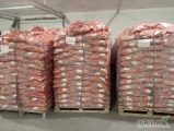 Witam oferuję marchew młoda Egipt pakowana po 10kg cena 2,5zl /kg małe i duże ilości informację pod nr tel 727694440