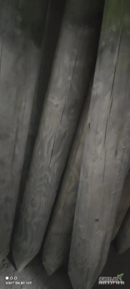 /images/posts/2025/06/2023144/pugvt3fNecM6EDQWei9ABiwDkWvIS4XDmr7wGYi0.jpeg