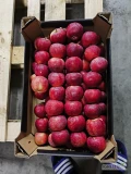 Sprzedam Alwa 7+ 48 kartonów x13kg i drobne 