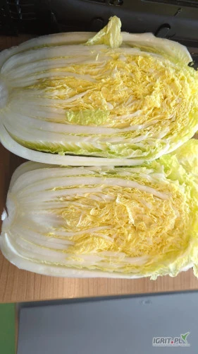 /images/posts/2024/10/1923504/hXrsYJsxaqv1k0i7CoCFEBqZRKp62aISl2BDSvlN.jpeg
