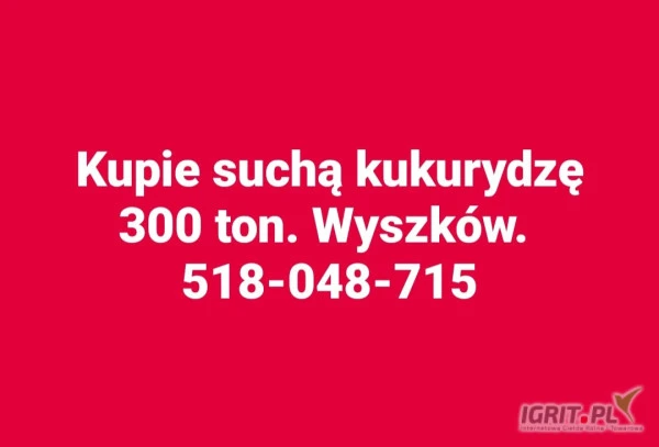 /images/posts/2025/01/1962169/fegPwKbKsWXdDZO1l18VO8STKuMATZszJf5kwZtB.jpeg