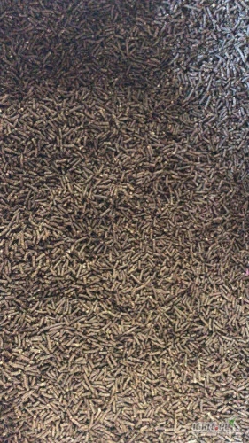 /images/posts/2024/11/1935360/ans4BouCBNNpGamrqyPx9xaffgposETQxJksjQwe.jpeg