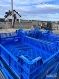 Sprzedam skrzynki 60x40, okolo 700 szt. Więcej informacji pod telefonem