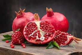 /images/posts/2025/06/2023277/fjT2uo0LRAz5u6DVU8O9TVudrPxo7KNtAbNF5M0f.jpeg