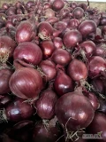 Sprzedam cebulę czerwoną kaliber 5-8  worek 5/10 kg bigbag luz ilości tirowe i paletowe cebula fazorowana 