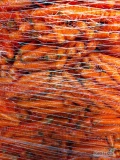 Marchew grubszy kaliber 3-5.5. Szczotkowana w worku szytym, big-bagu lub luzem.