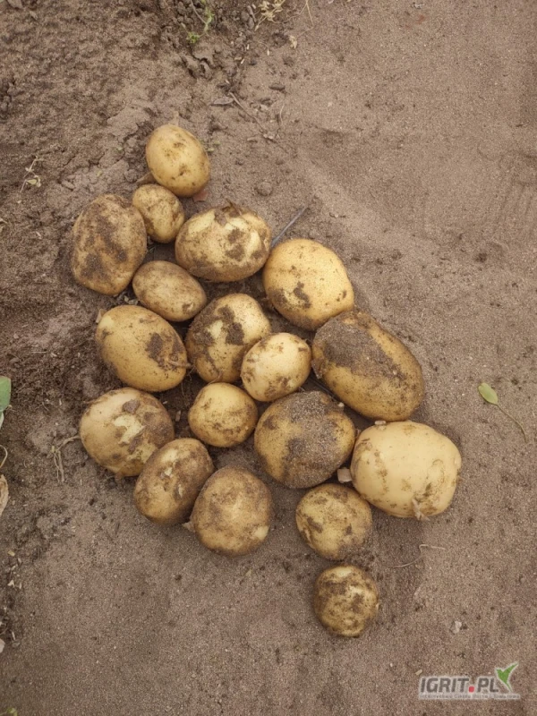 /images/posts/2025/05/2011491/3p7vfgpuJmmg74iEPjHDdFF36UgCNpLNBcrp6r8r.jpeg