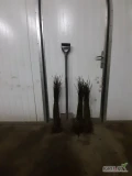 SPRZEDAM PODKLADKE M9 ILOŚĆ  9300SZT
