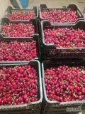 Sprzedam końcówkę burlata ładny sztywny 250 kg. Towar schłodzony 