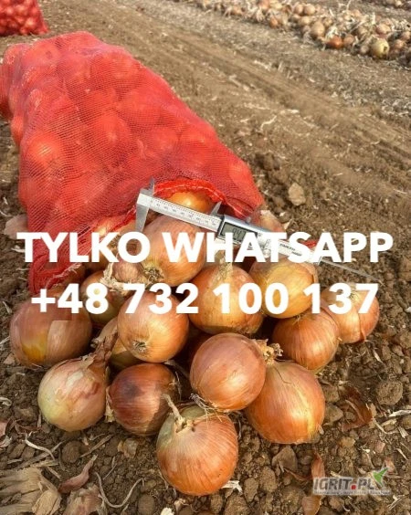 /images/posts/2025/06/2023668/OSkjYiZjKOjI1Ac4yiZNEEizvaeb5TqIXrqGuS1r.jpeg