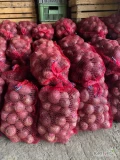 Witam sprzedam młodego buraka odmiana Wodan około 1,5t . Obierany ręcznie pakowany w worki 10kg więcej info pod numerem tel 721653904