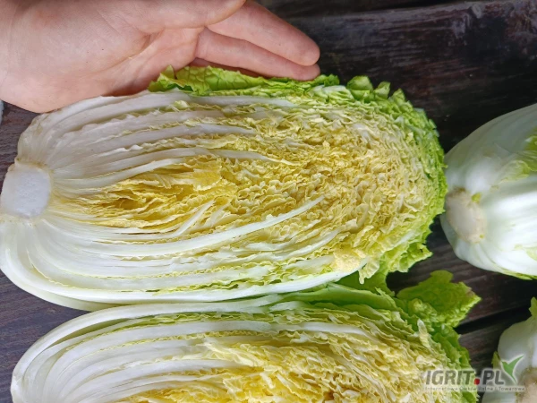 /images/posts/2025/06/2023949/ec62gbesXcxQtVIqzIwFikDAL1p6QdxCGJ7l5u2R.jpeg