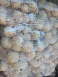 Witam, sprzedam mytego selera 10/14 sztuk na worek 5 kg ilość około 15t. Cena 3,3zł kg. Ładnie schnie. 