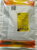 KAPTIVA F1(j.250 000n , kal.2.0-2.75 , MTN 3.47g , pak.06/2025) nasiona cebuli ozimej firmy Cora Seeds oferuje GEPWEG dystrybutor nasion....