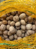 Sprzedam orzechy włoskie w łupinie. Zapakowane we worek 10kg. Towar ładny - umyty.