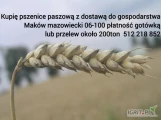 Kupię zakupie Zboże każdej jakości pszenica pszenżyto żyto jęczmień. Odbiór z gospodarstwa. Szybka płatność i odbiór zapraszamy...
