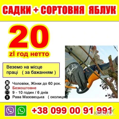 /images/posts/2025/01/1961966/s9Y4WTmt4LJZKDbzS3rw1U2jRMfEyl6JB07SMggE.jpeg