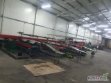 Sprzedam sortownie Awete KG-4-14+1 rozmiar i waga . Trzy stoły pakerskie z wagami pełna automatyka , rozładunek wodny stas z...