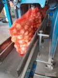 Sprzedam cebulę odsort kaliber 3 do 4.5  cm . Przeważa rozmiar 4 cm ładny i suchy towar . Zdjęcia drobnej wyślę zainteresowanemu, bo...